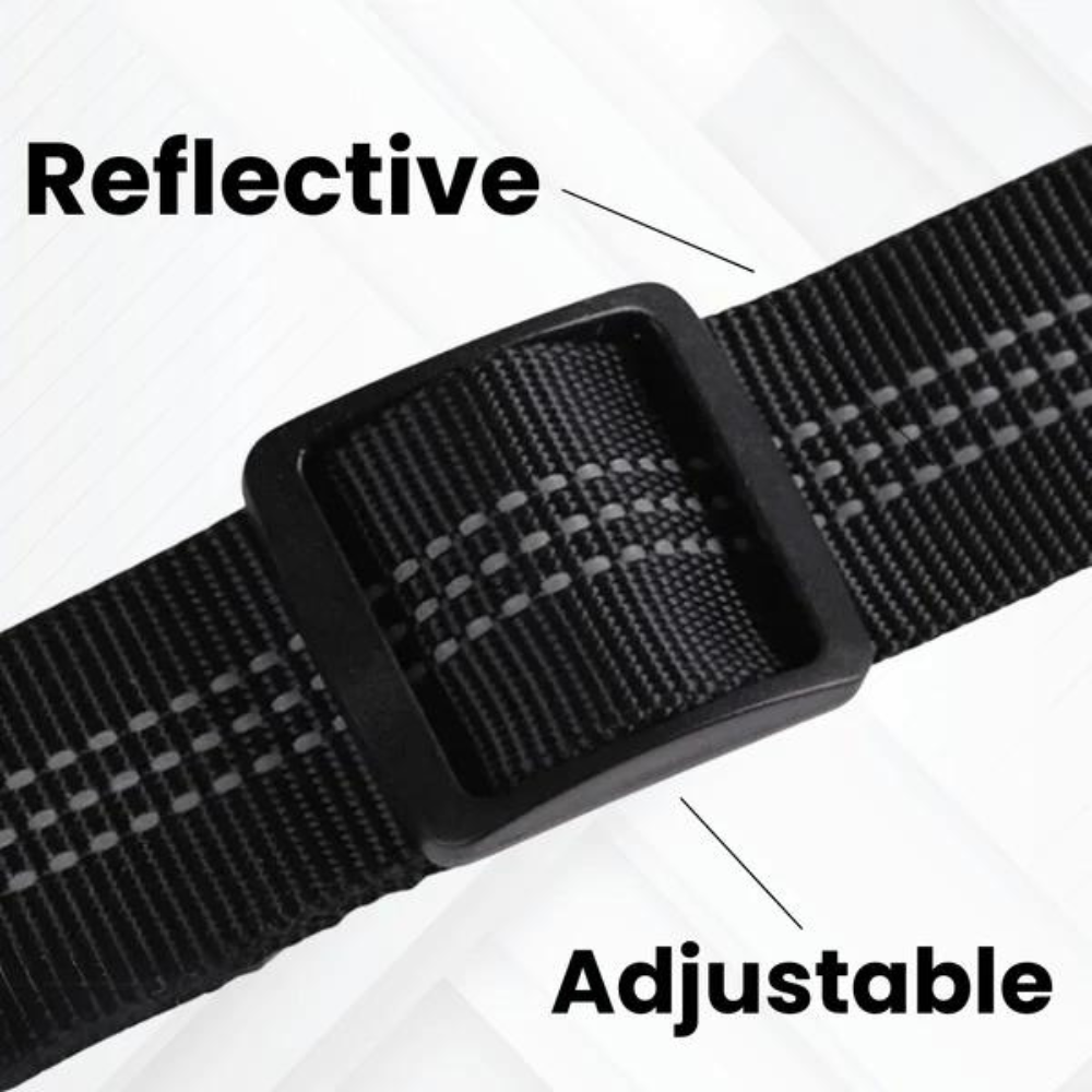 Dog Car Seat Belt